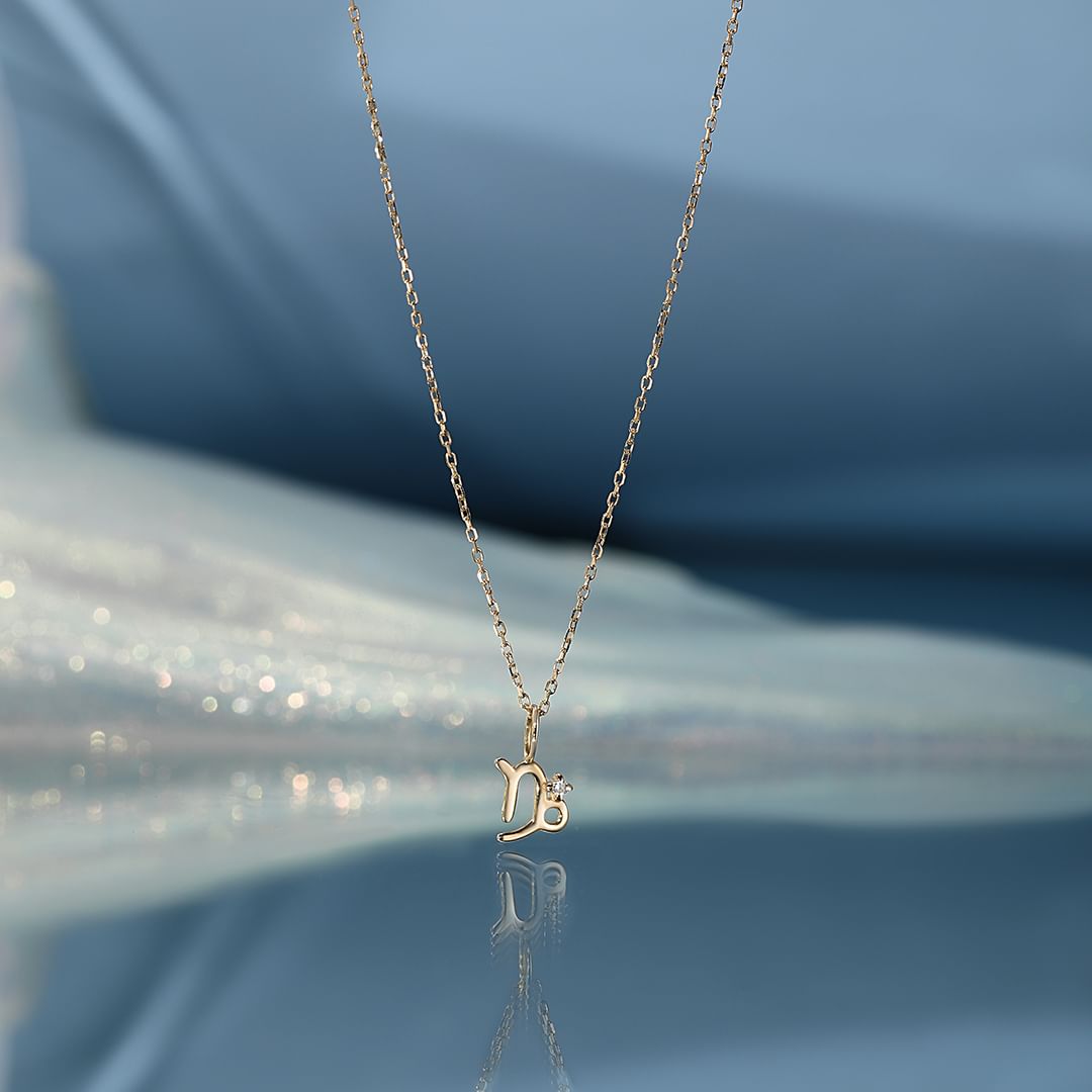 CAPRICORN  |  Zodiac Charm With Diamond