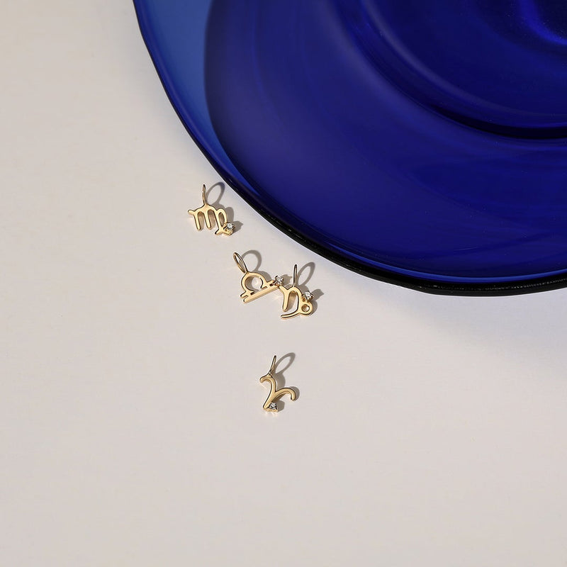 CAPRICORN | Zodiac Charm With Diamond Necklace Charms AURELIE GI 