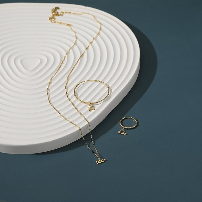 AQUARIUS | Zodiac Charm With Diamond Necklace Charms AURELIE GI 